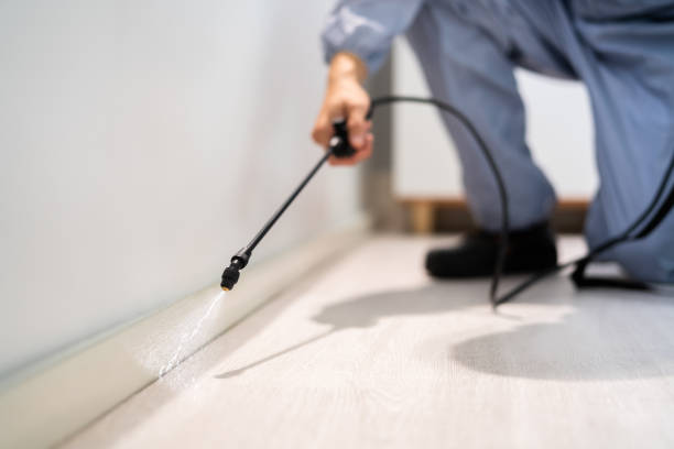 Licensed Termite Control service in Suncoast Estates, FL - Nex Pest Control