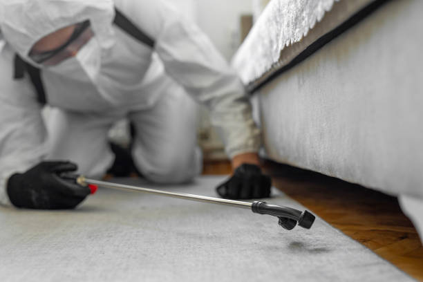Professional Termite Control technician working in Suncoast Estates, FL