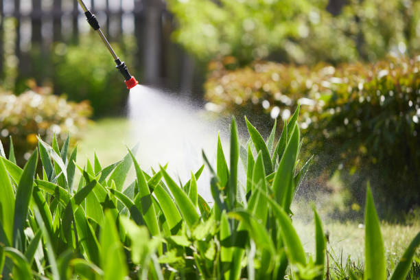 24/7 Emergency Termite Control experts in Suncoast Estates, FL