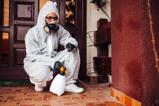 Reliable Termite Control contractor in Suncoast Estates, FL by Nex Pest Control