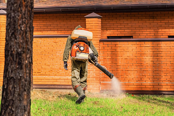 Trusted Rodent Control service in Suncoast Estates, FL - Nex Pest Control